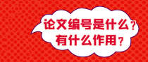 论文编号是什么？有什么作用？