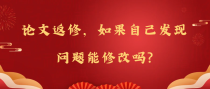 论文返修，如果自己发现问题能修改吗?
